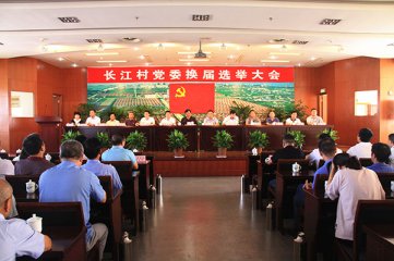 长江村召开党委换届选举大会