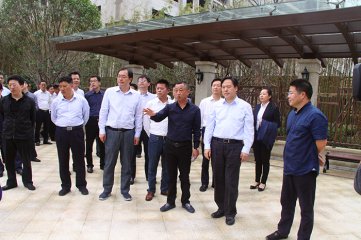 市委书记陈金虎一行现场观摩我集团城市综合体
