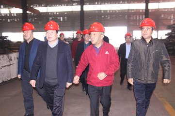 村领导深入各单位视察年后复工复产情况