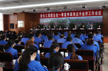 新长江集团召开一季度经济运行分析会
