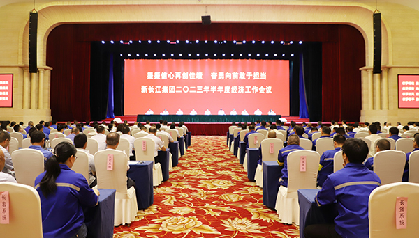 提振信心再创佳绩  奋勇向前敢于担当丨 新长江集团2023年半年度经济工作会议顺利召开