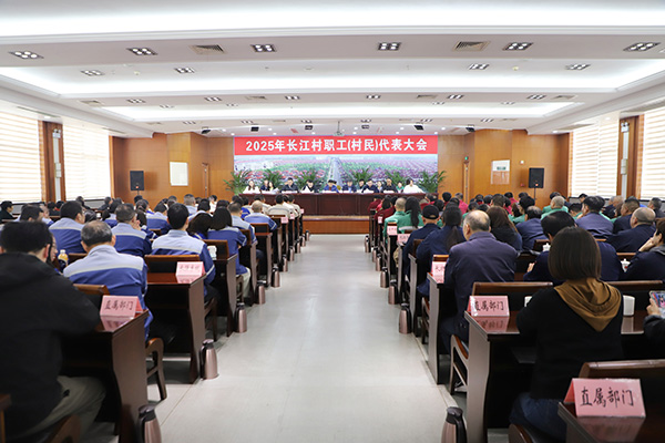 2025年长江村职工(村民)代表大会顺利召开